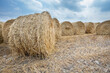 © ArieStormFotografie - Balen of rollen stro op de akker