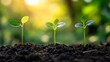 © heinng - Vibrant green seedlings grow steadily in warm sunlight showcasing nature's progression. AI Generated