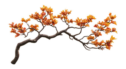 Wall Mural - png tree branch autumn leaves leaf.