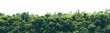 © Rawpixel.com - PNG Amazon forest landscape nature scenery natural.