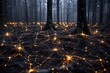 © Auraclicks - Conservation of Mycorrhizal Networks Wood Wide Web of Underground Fungal Highways Show glowing depiction of mycorrhizal fungal filament connecting tree root dark soil environment transferring nutrient