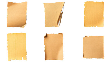 Canvas Print - collection torn paper pieces, realistic texture, torn design, cut out transparent