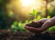 © firdan - Holding Seedling in Hand with Soil Under Warm Sunlight for Growth