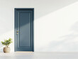 © aka_artiom - Modern Blue Door and Potted Plant in Minimalist Sunlit Space