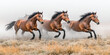 © wahris - Two brown equine animals, a mare and her foal, with flowing manes, run freely across the green pasture field