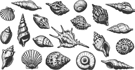 Hand drawn vector illustrations - seamless pattern of seashells. Marine background. Perfect for invitations, greeting cards, posters, prints, banners, flyers