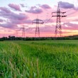© Idea Library - Expansive field underneath a clear sky with power lines running across the green landscape horizon