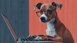 © Эля Латыфуллина - Dog wearing glasses is working on a laptop in a colorful workspace with bright backgrounds