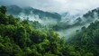 © adibaatmarini - Ethereal rainforest vista unveiling lush greenery beneath a swirling mist