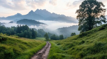 Fototapete - Dirt path through green grassy field leading to misty mountains under a cloudy sky with trees framing the scene