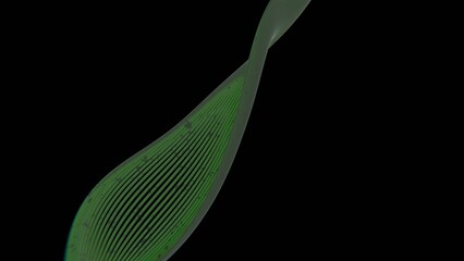 Leinwandbilder - Thin lines twisting into a sleek wave on a black background, creating a minimal and futuristic abstract design with fluid curves and modern geometry.......