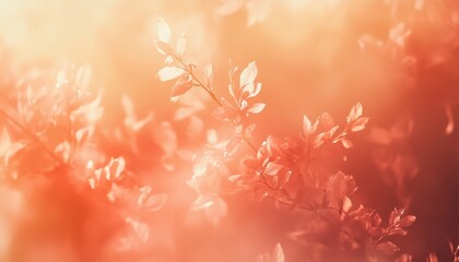 Leinwandbilder - Soft Coral And Orange Leaves In Sunlight