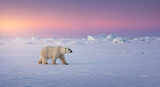 Majestic polar bear traversing the arctic expanse under a soft pastel hued sky