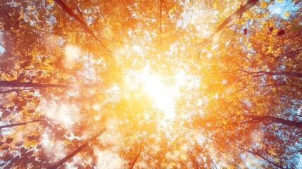 Poster - Golden sunlight streams through a vibrant canopy of autumn foliage, casting a mosaic of colors on the forest floor, evoking a feeling of warmth and nostalgia