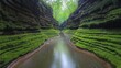 © SAQUEEN - Serene stream flows through moss-covered canyon walls