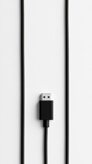 Leinwandbilder - Minimalist Tech Connectivity High-Resolution USB Cable Extension in Sleek Monochrome - Cutting-Edge Digital Infrastructure for Modern Workspace Efficiency