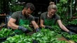 © PT CINTA SEJATI - Two individuals meticulously sort fresh leafy greens in a greenhouse setting.  Focused, careful work handling produce