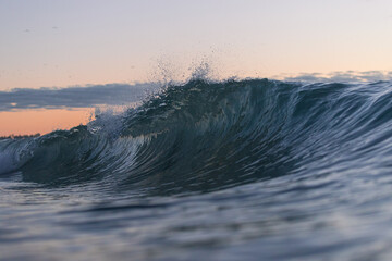 Canvas Print - Blue wave with splash in the ocean.