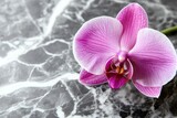 A vibrant pink orchid rests gracefully on a sleek, gray marble surface.