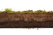 © Usman - A cross section view of soil with grass on top showing different layers of earth and roots visible transparent backgroundpng