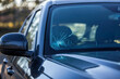 © bartsadowski - Car cracked windshield detail
