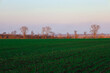 © Олег Струс - The photograph shows a rural landscape with a wide green field in the foreground. The field has lush green grass. In the background, a line of trees stretches along the horizon.