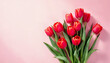 © Ghus - Pink tulips on blank background HD image. A tulip doesn't strive to impress anyone, it just blooms proverb image