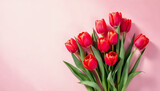 Pink tulips on blank background HD image. A tulip doesn't strive to impress anyone, it just blooms proverb image