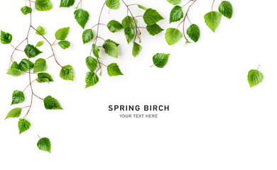birch tree branch with fresh green leaves frame border photography. creative layout. young spring sp