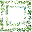 © PNGs - flowery border no background