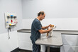 © Koldo_Studio - Veterinarian examining a jack russell terrier in modern clinic