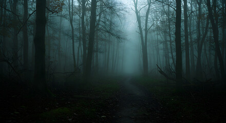  Mystical Fog-Shrouded Forest Path