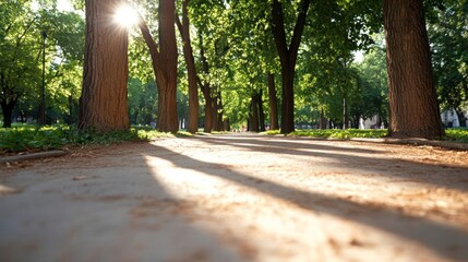 Aufkleber - Sunlit Pathway Through A Lush Green Park With Tall Trees Casting Shadows On The Ground During Daytime