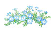© Keiko Takamatsu - 春の花：ネモフィラの水彩イラスト。群生のクリップアート。