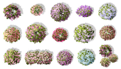 vector watercolor of blooming tree top view isolated on white background for landscape plan and arch