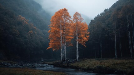 Aufkleber - A vibrant orange tree stands out amidst a misty forest landscape with a small stream. Dark green foliage, diffused light and a moody atmosphere characterize the scene