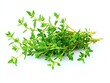 © St Mmh - Fresh Thyme Herb Bundle Isolated on White Background for Cooking