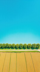 Leinwandbilder - Next-Gen Agricultural Intelligence Precision Farming Landscape with Climate-Smart Data Visualization and Sustainable Crop Innovation for Tech-Driven Food Production