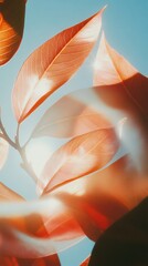 Poster - Ethereal Autumn Gradient Soft-Focus Organic Leaf Texture in Warm Coral Tones - Creative Branding and Mindful Design Inspiration for Seasonal Marketing