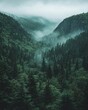 © DriftPixels - Misty Mountain Valley Forest Landscape with Dense Evergreen Trees and Foggy Atmosphere in a Serene Environment