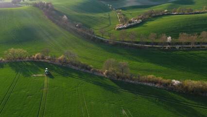 Wall Mural - green wavy hills with agricultural fields