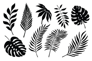a collection of black silhouettes featuring tropical leaves. including monstera, palm, and feather-l