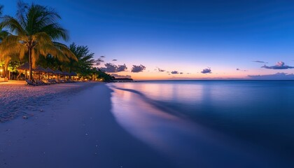 Poster - Tranquil twilight at a serene beach with palm trees and soft waves in the backdrop of a colorful sunset