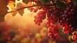 © Lilly - Red grapes on vine HD 8K wallpaper