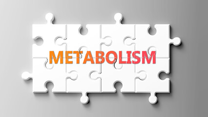 Poster - Metabolism complex like a puzzle - pictured as word metabolism on a puzzle pieces to show that metabolism is complex and needs cooperating pieces that fit together. ,3d illustration