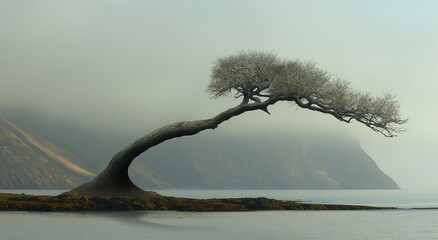 a tree having an abstract shape in a natural landscape.