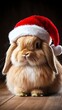 © Salma - Cute bunny in Santa hat.