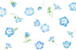 © Keiko Takamatsu - 春の花：小さなネモフィラの花の水彩イラスト。背景模様。