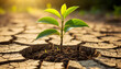 © JoyfulImages - Resilient Sprout Emerging from Cracked Earth Hope Concept