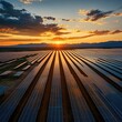 © Muhammad - Vast solar farm at sunset. Rows of solar panels stretch across the landscape, reflecting the golden light of a setting sun.  Arid land and distant mountains create a serene backdrop